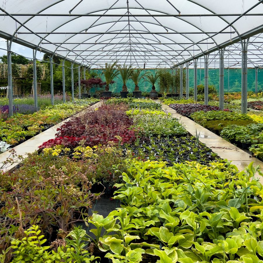 nursery & landscape supply